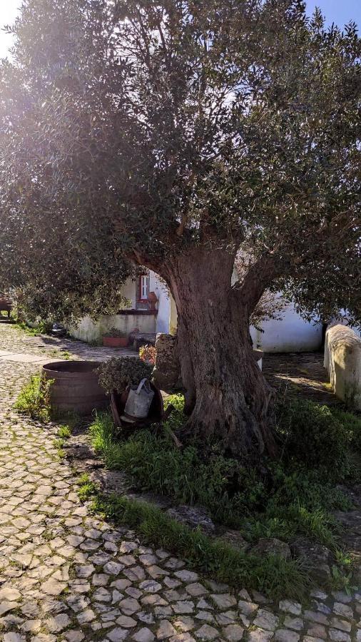 Ancos Little House -Sintra Countryside- Villa Montelavar Exterior photo